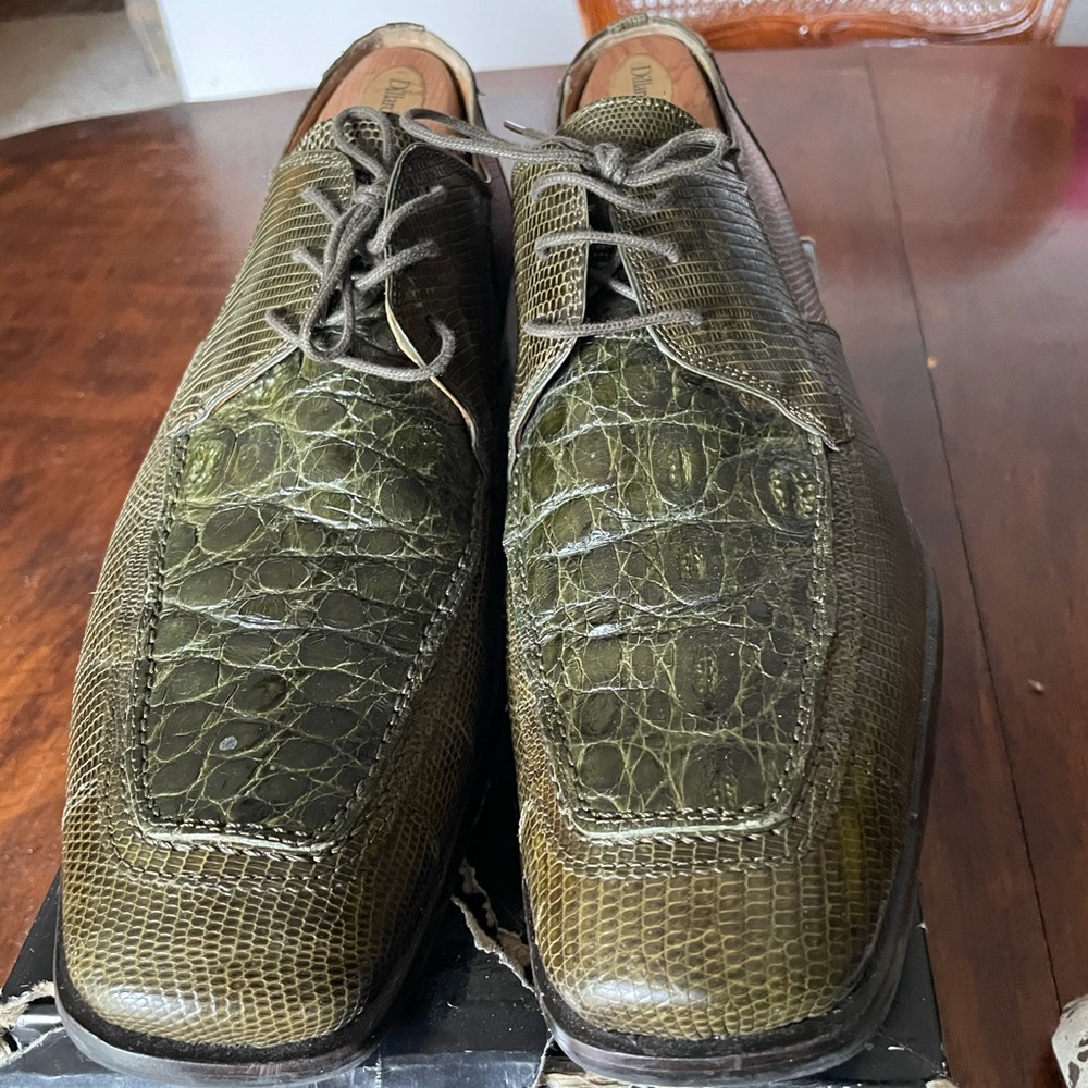 Moss Green Gators!